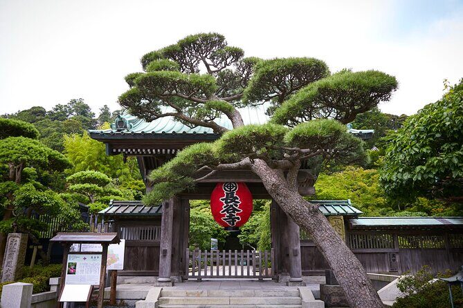 Private Car Tour to see Highlights of Kamakura, Enoshima, Yokohama from Tokyo - Why This Tour Offers Excellent Value