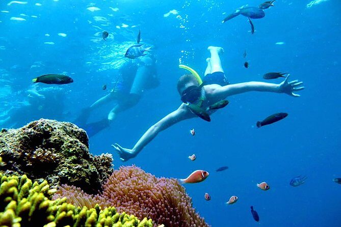 Private Charter boat to Angthong Marine Park - Key Points