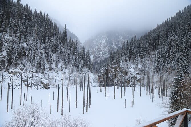 Private Charyn Canyon, Kolsai Lake with Optional Kaindy Lake tour - Transport and Comfort