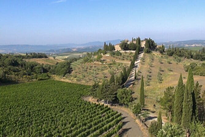 Private Chianti wine tour - Who Should Book This Tour?