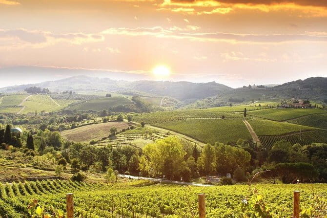Private Chianti wine tour leaving from Florence - The Authentic Experience: Why It Works