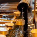 Private City Kickstart Tour: Tokyo - Authentic Experiences and Hidden Gems