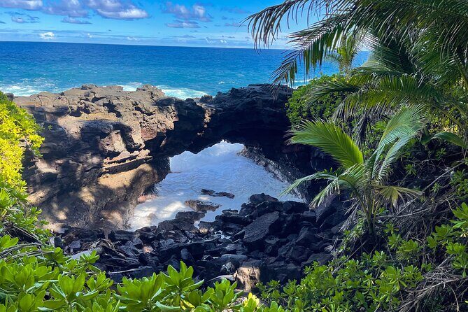 Private Custom Van Full-Day Guided Tour on Big Island of Hawaii - Analyzing the Value
