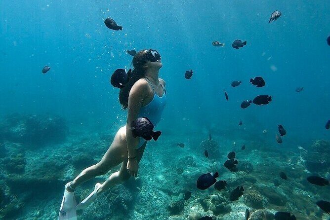 Private Customized Tour with Local Guide - Exploring Bali at Your Own Pace: What’s Included and How It Works