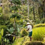 Private Customized Trip to Ubud - The Sum Up