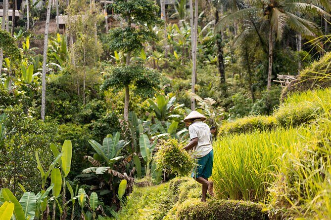 Private Customized Trip to Ubud - The Sum Up