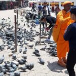 Private Day Tour at the World Heritage Site in Kathmandu Valley - What’s Included and What’s Not