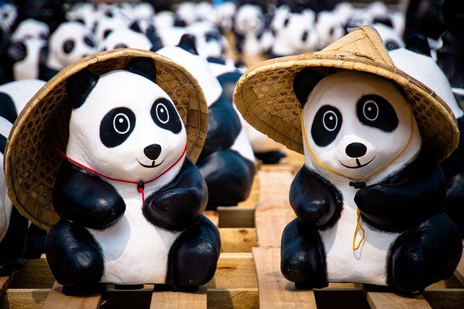 Private Day Tour: Dujiangyan Panda Base and Irrigation Project - Who Will Love This Tour?