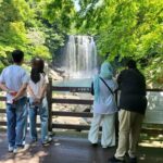 Private Day tour East & south & west of All area in jeju island - What This Tour Means for You