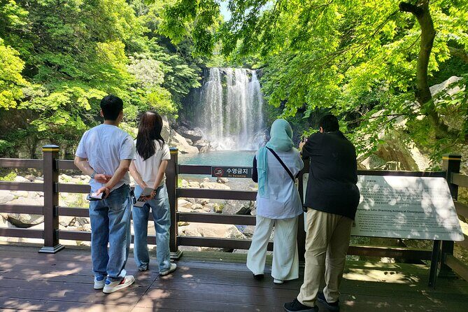 Private Day tour East & south & west of All area in jeju island - What This Tour Means for You