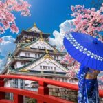 Private Day Tour in Osaka and Kyoto with charter car - Authentic Insights from Guest Reviews