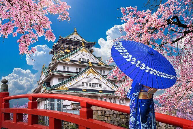 Private Day Tour in Osaka and Kyoto with charter car - Authentic Insights from Guest Reviews