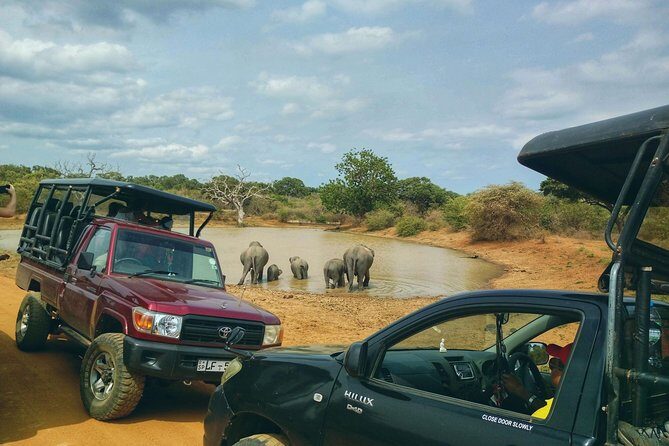 Private Day Tour: Yala National Park Safari Tour from Galle & Weligama - The Full Experience of the Yala Safari Tour