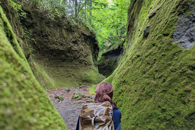 Private Day Trip of Lake Shikotsu and Moss Canyon - Moss Canyon: A Hidden Gem