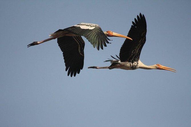 Private Day-Trip to Bharatpur Bird Sanctuary from Agra - The Sum Up