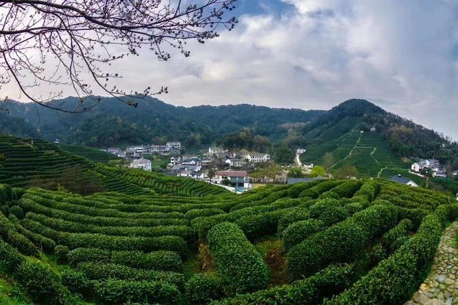 Private Day Trip to Hangzhou from Shanghai by Bullet Train - The Sum Up