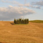 Private Day Trip to Montalcino and Montepulciano from Florence - Price and Value