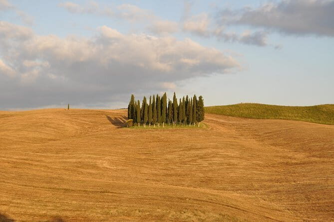 Private Day Trip to Montalcino and Montepulciano from Florence - Price and Value