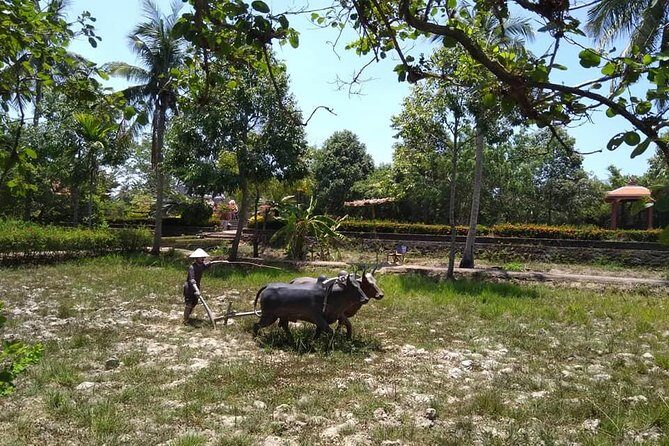 Private Day Trip To Visit MY LAI MASSACRE from Hoi an or Da Nang City - What Makes This Tour Stand Out