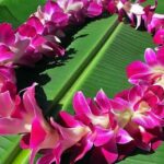 Private Departure Transfer: Big Island Hotels to Kona International Airport - The Sum Up: Is This Transfer Right for You?