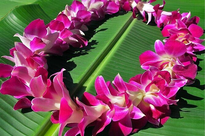 Private Departure Transfer: Big Island Hotels to Kona International Airport - The Sum Up: Is This Transfer Right for You?