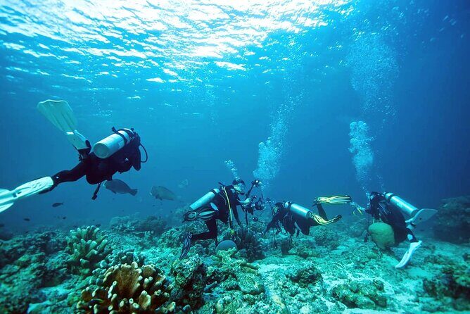 Private Diving Experience in Nusa Dua with Hotel Pick Up - The Value of This Experience