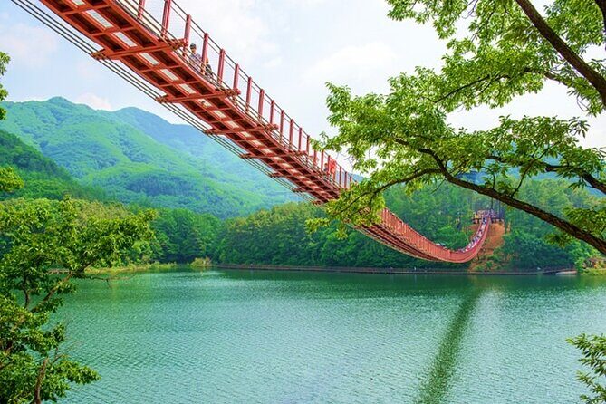 Private DMZ Peace Tour: 3rd Invasion Tunnel and Suspension Bridge - Practical Tips for Your Tour