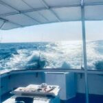 Private Dolphin Cruise in Panama City Beach - Why This Tour Offers Good Value