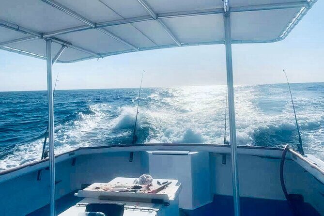 Private Dolphin Cruise in Panama City Beach - Why This Tour Offers Good Value
