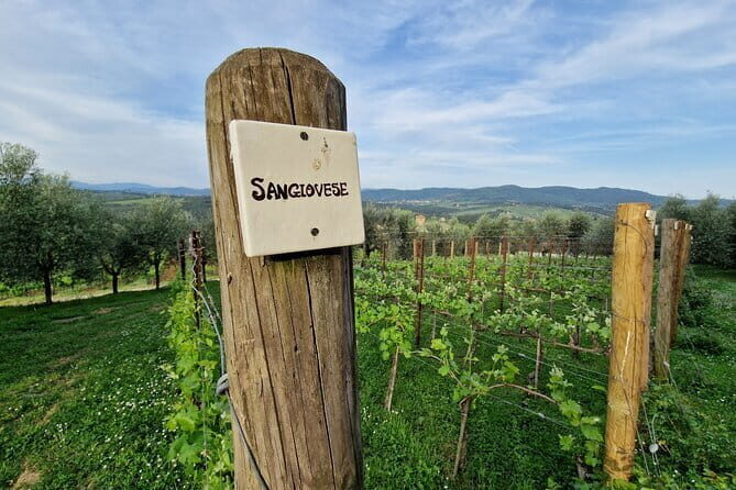 Private driver Florence Wine Tour countryside of Tuscany 7 hours - Who Will Love This Tour?
