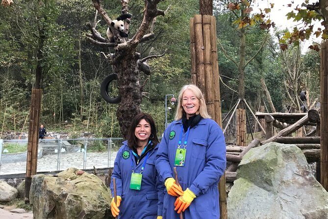 Private Dujiangyan Panda Base Panda Rescue Center Volunteer for a Day - What the Reviews Reveal