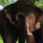 Private Elephant Sanctuary - Who Is This Tour Best For?