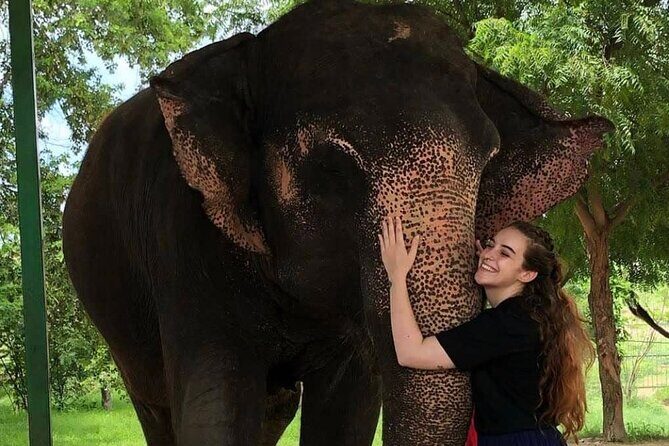 Private Elephant Sanctuary - Who Is This Tour Best For?
