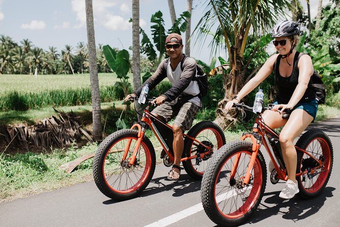 Private Fat Tire E-Bike Tour in Ubud - Final Thoughts: Who Is This Tour For?