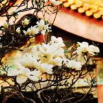 Private Flexible Beijing City In-Depth Walking Tour w/ Your Fancy - Customization Options & Extra Sights