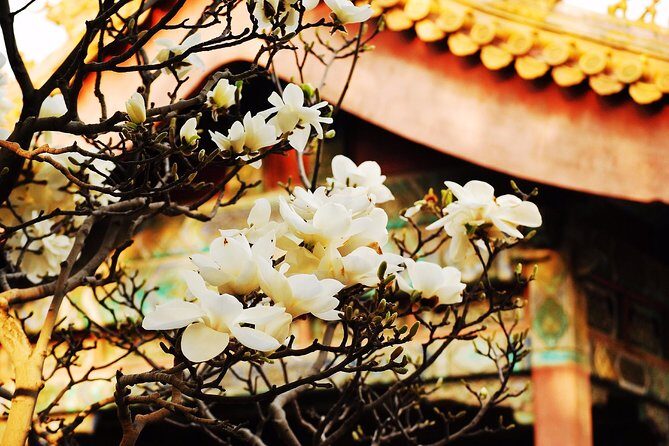 Private Flexible Beijing City In-Depth Walking Tour w/ Your Fancy - Customization Options & Extra Sights