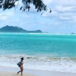 Private Fond Farewell Oahu Last Day Tour - What to Expect from the Transportation and Guide Service