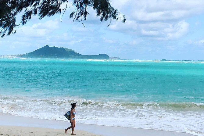 Private Fond Farewell Oahu Last Day Tour - What to Expect from the Transportation and Guide Service