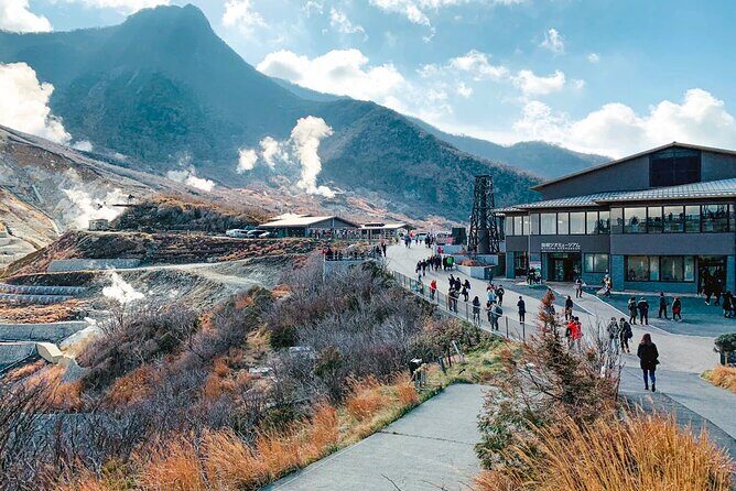 Private Fuji Hakone Tour Charter with English Speaking Driver - Final Thoughts: Who Is This Tour Best For?