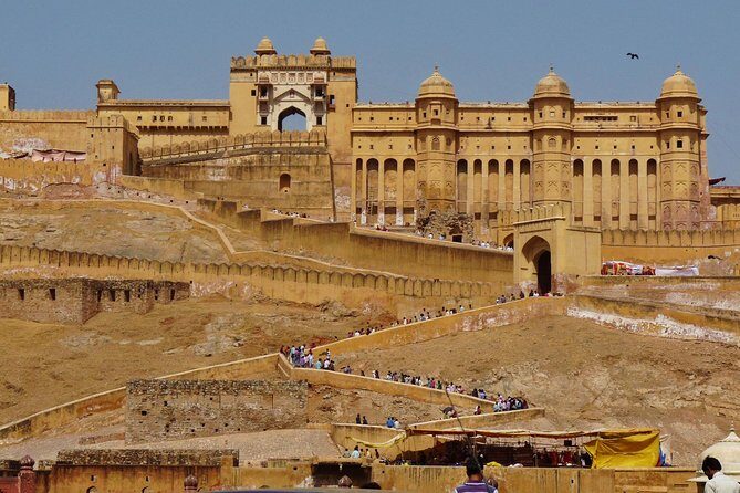 Private Full Day City Tour of Jaipur visit Amber Fort, City Palace with Lunch - Who Is This Tour Best Suited For?