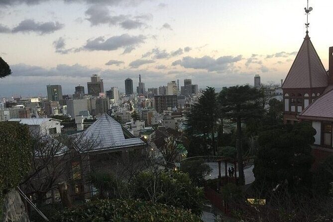 Private Full-Day Guided Tour of Himeji and Kobe - What to Expect from the Tour