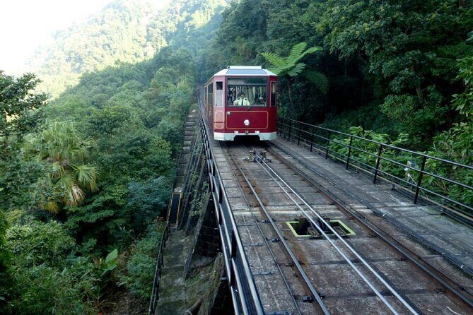 Private Full-Day Hong Kong Island Top Attraction Tour - The Practicalities: Transportation, Guides, and Flexibility