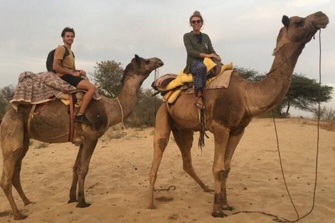 Private Full-Day Jodhpur City Tour and Desert Safari - Who Should Consider This Tour?