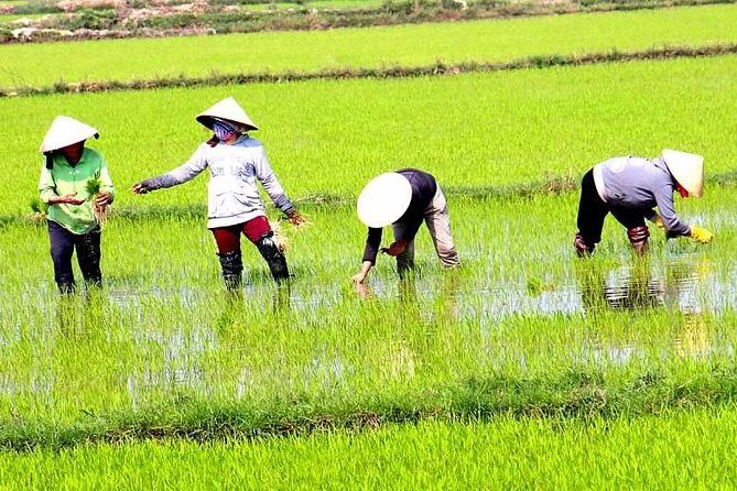 Private Full-day Mekong Tour From Ho Chi Minh City, Including River Cruise - What Sets This Tour Apart?