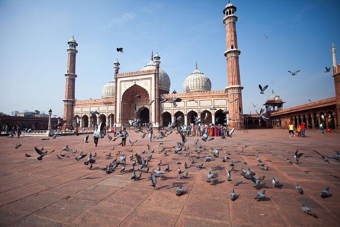 Private Full Day Old Delhi and New Delhi City Tour - The Value of a Private Guided Tour