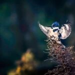 Private Full Day Photography Workshop of Fairbanks - The Experience and Its Unique Selling Points