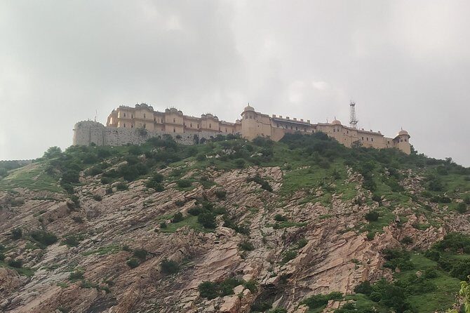 Private Full - Day Pink City Tour of Jaipur - What to Expect from the Tour: A Detailed Breakdown