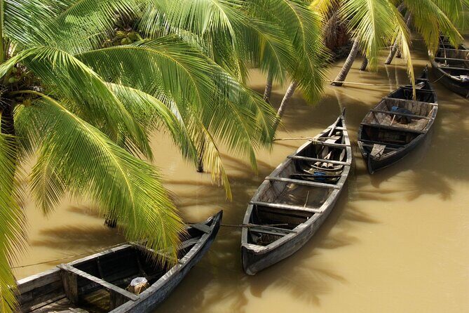 Private Full Day Tour: Authentic Mekong Delta Life in Ben Tre - What Reviewers Say About the Experience
