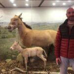 Private Full Day Tour in Khustain Nuruu National Park - Who Would Love This Tour?