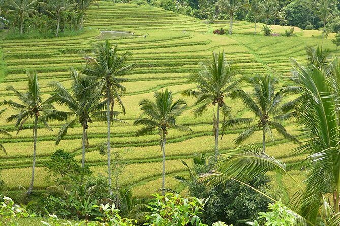 Private Full-Day Tour of West Bali with Hotel Pick Up - Detailed Breakdown of the Itinerary